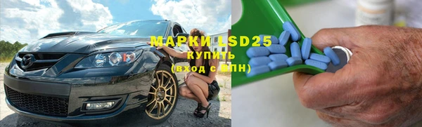 индика Аркадак