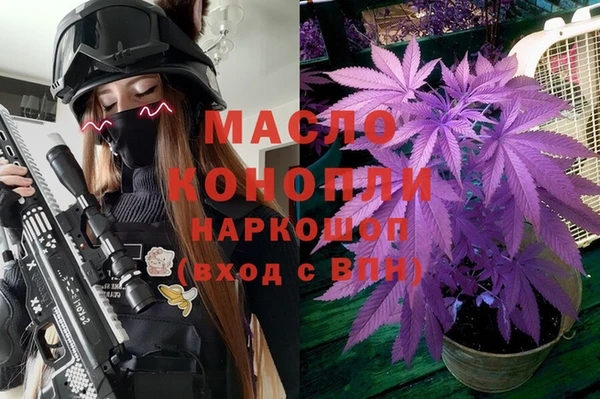 индика Аркадак