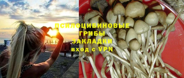 индика Аркадак