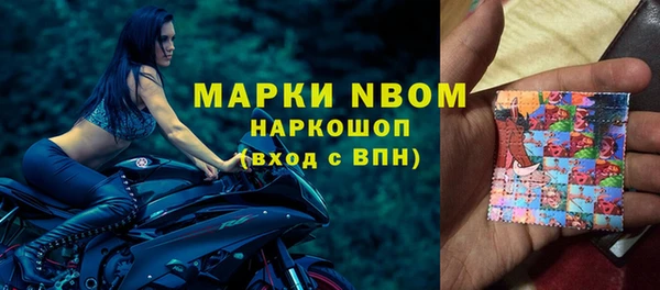 индика Аркадак