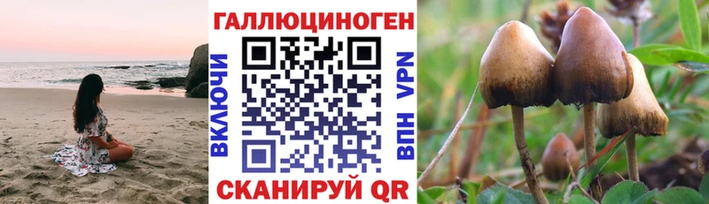 Галлюциногенные грибы MAGIC MUSHROOMS  Похвистнево 