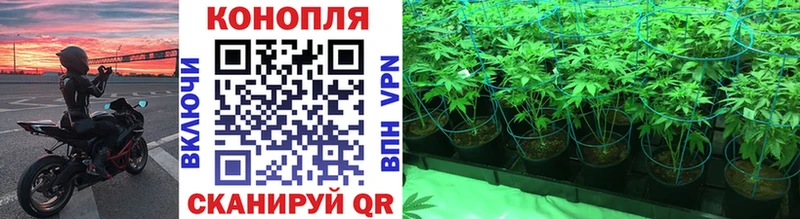 Бошки марихуана план купить Похвистнево